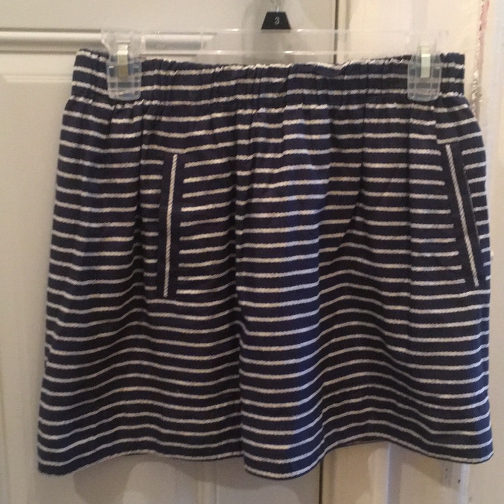 J.Crew Skirt